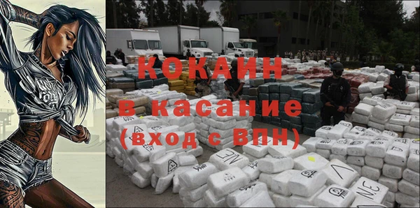 бошки Ельня
