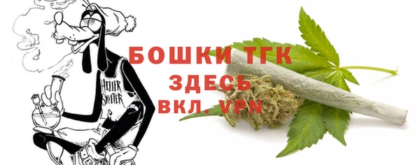бошки Ельня