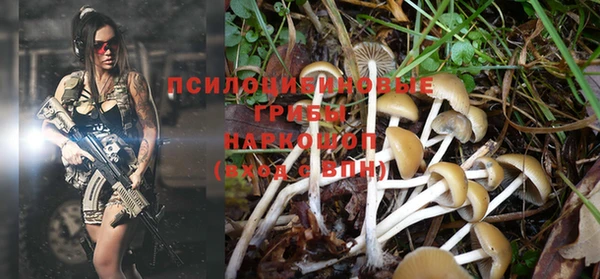 бошки Ельня