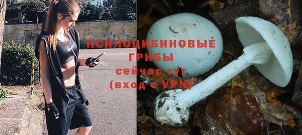 первитин Елабуга
